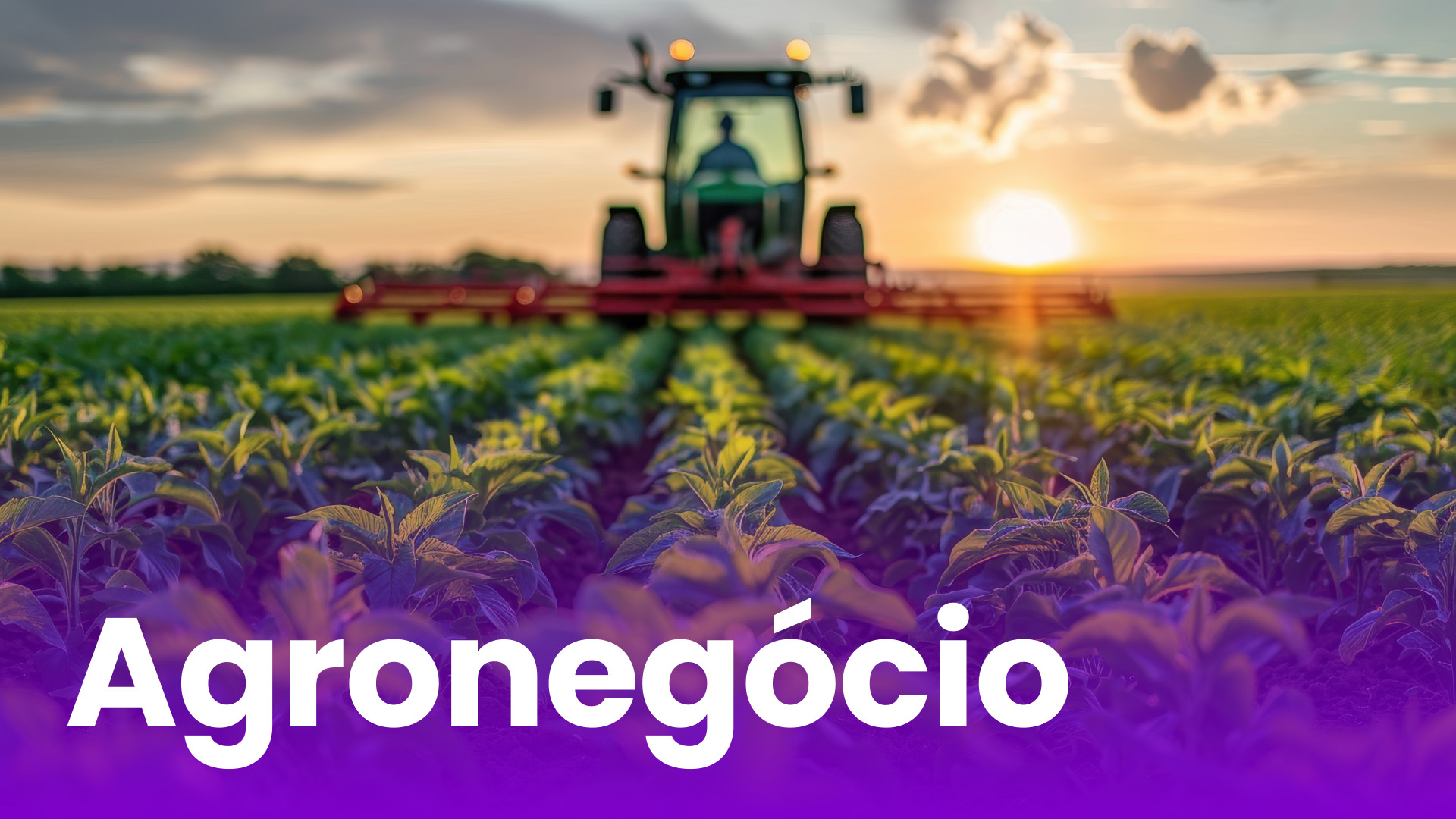 Agronegócio - Capa