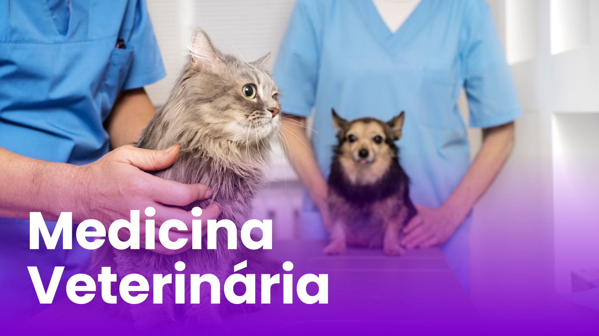 Medicina Veterinária